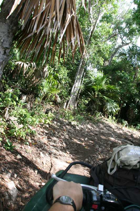 Mexico & Guatemala 2010 - 1276